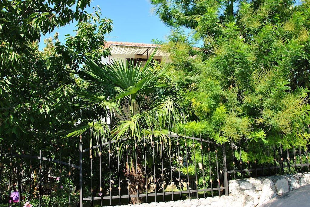 Apartment Zvonar Donji Okrug  Exterior photo